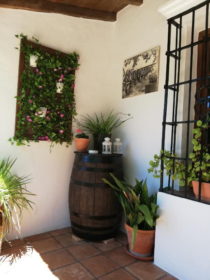 Casa Rural La Maquinilla Grazalema Bagian luar foto