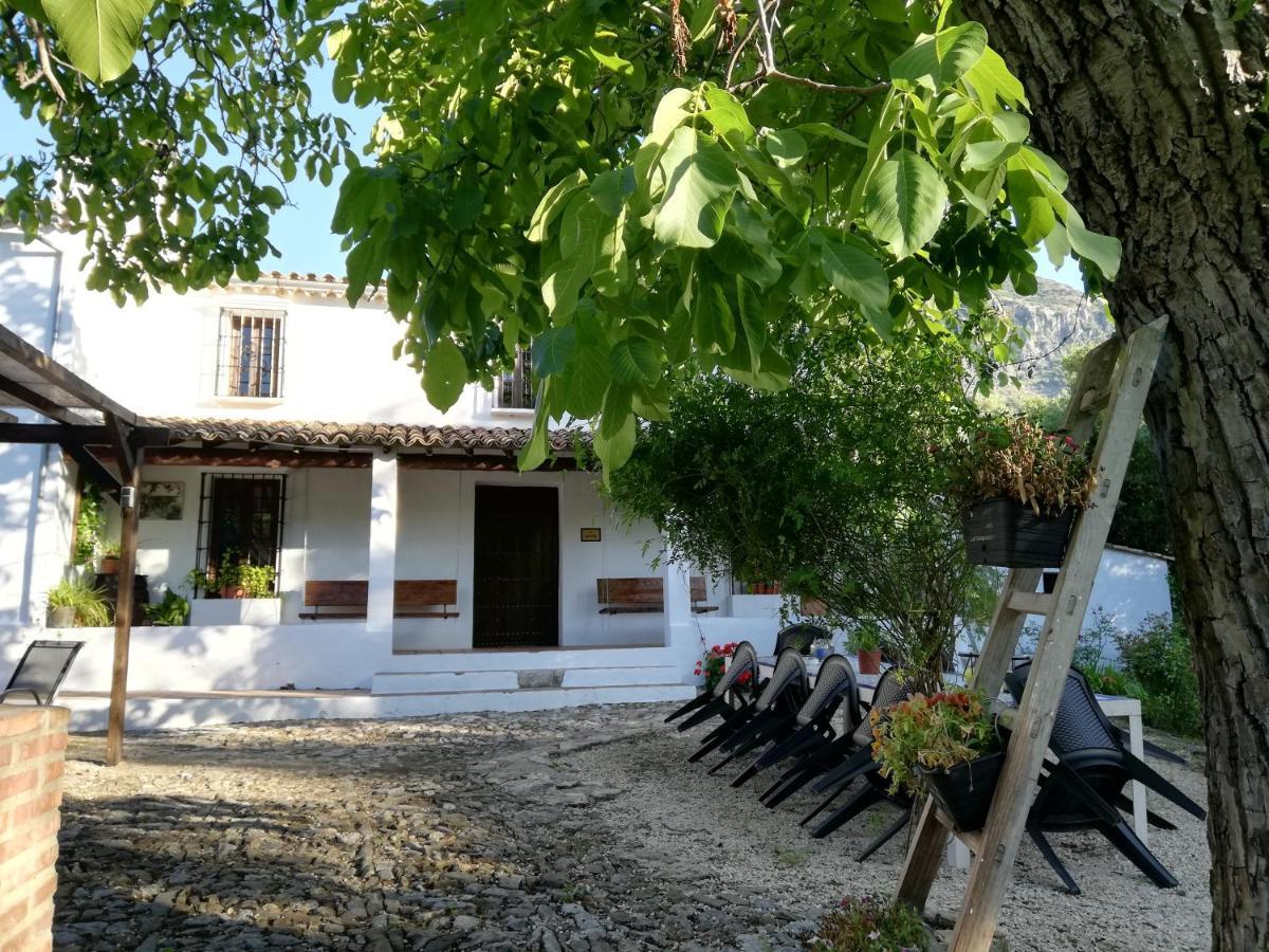 Casa Rural La Maquinilla Grazalema Bagian luar foto