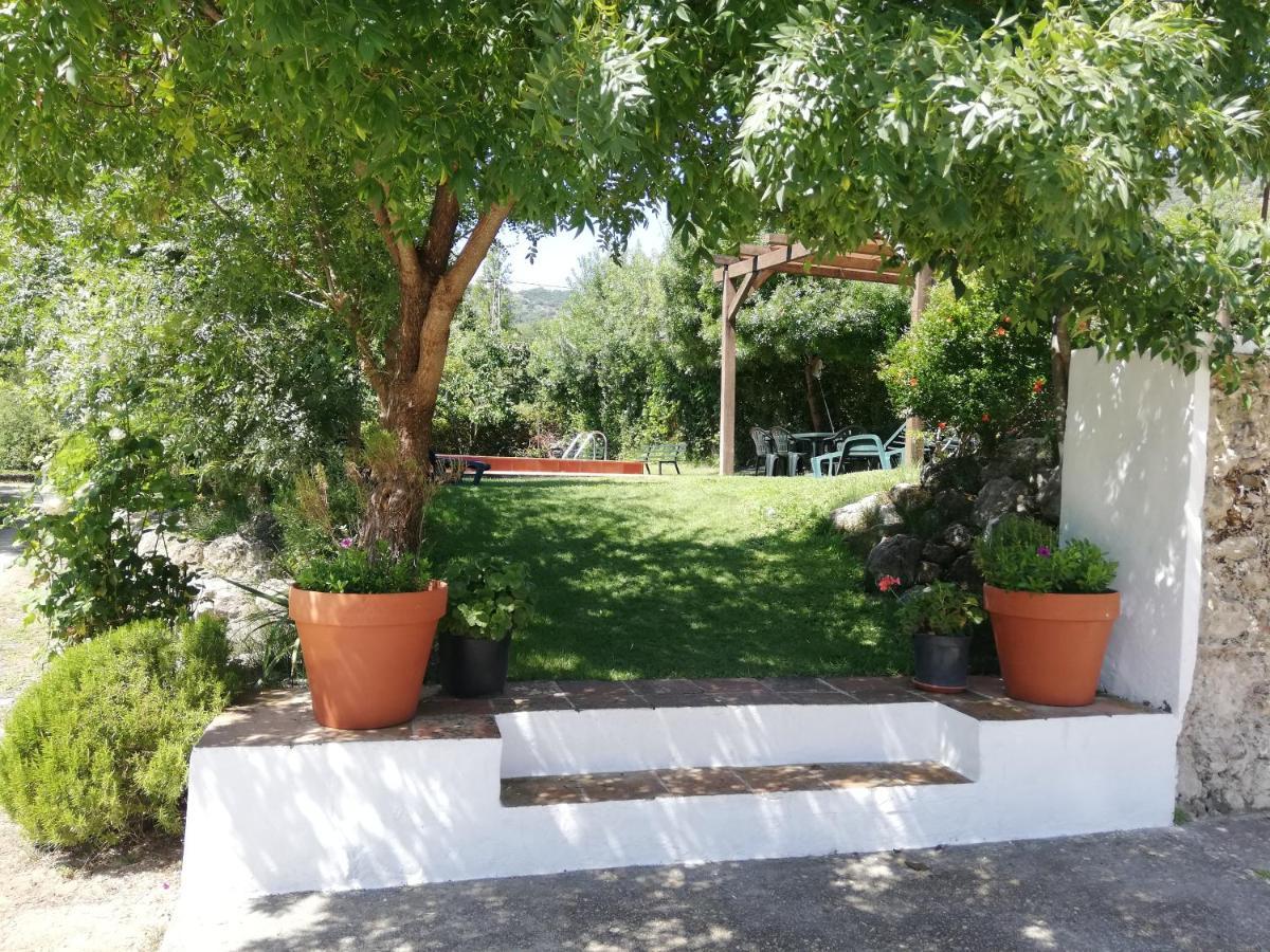 Casa Rural La Maquinilla Grazalema Bagian luar foto
