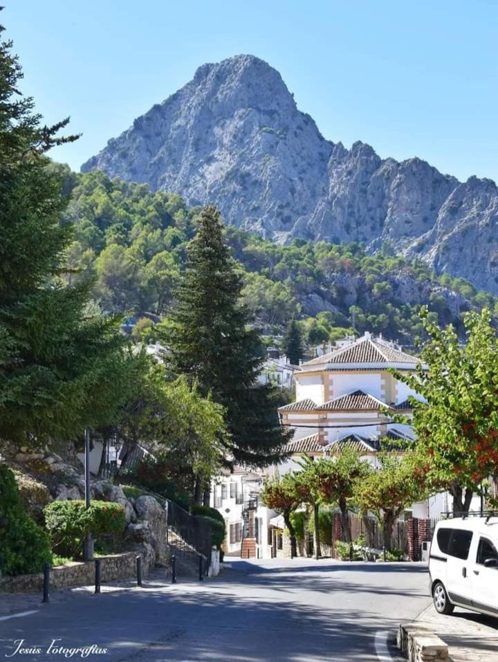 Casa Rural La Maquinilla Grazalema Bagian luar foto