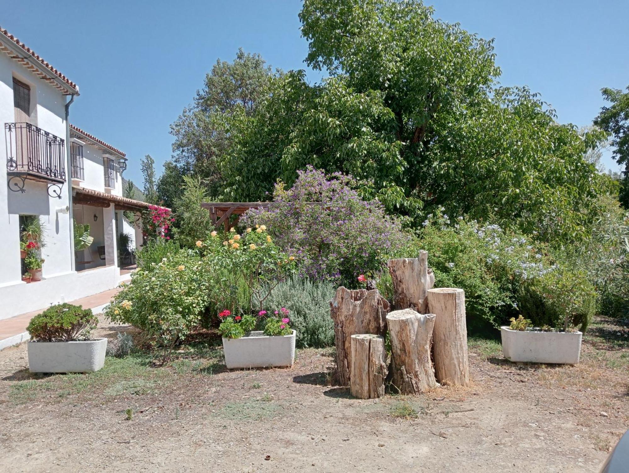 Casa Rural La Maquinilla Grazalema Bagian luar foto