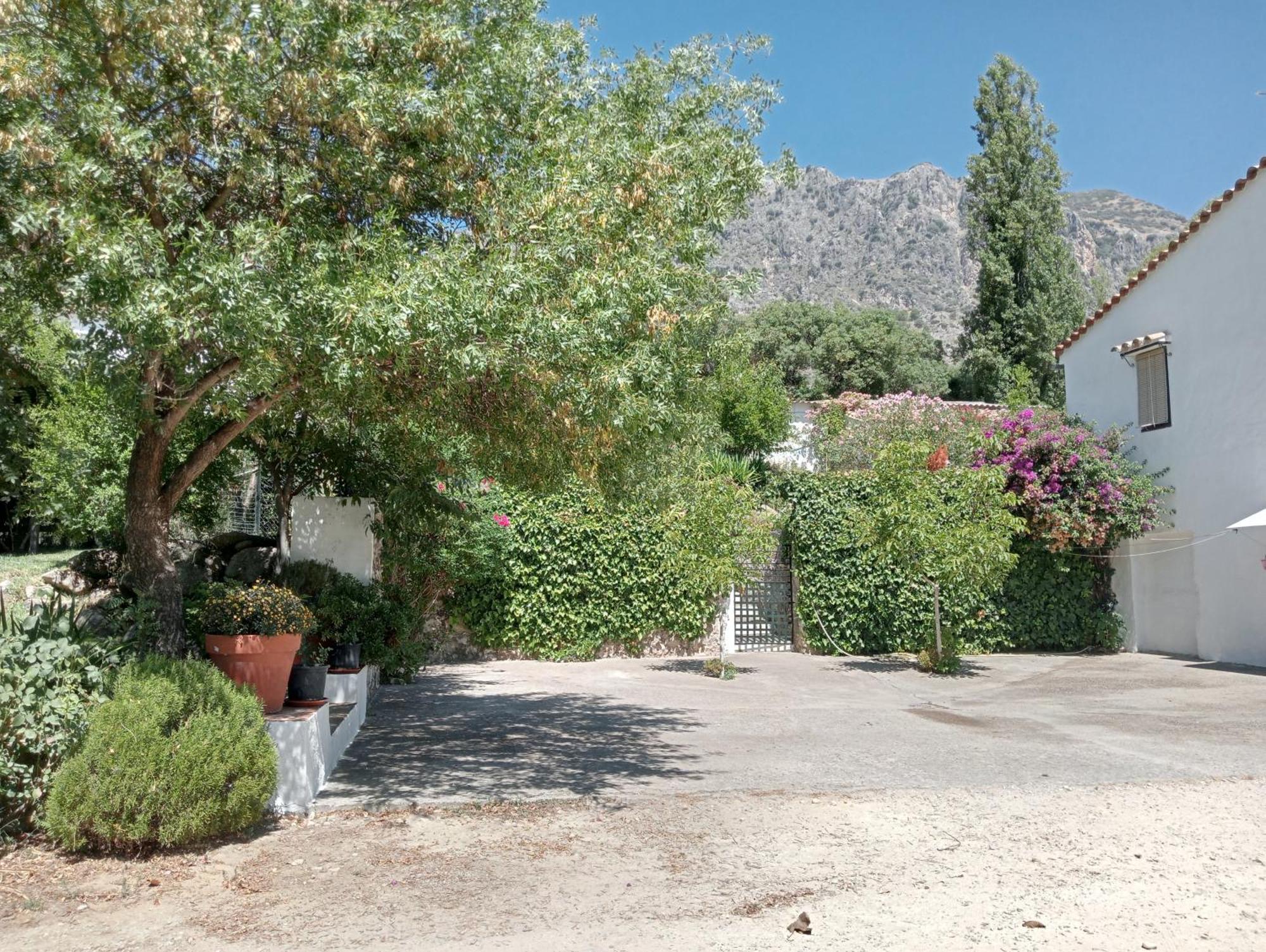 Casa Rural La Maquinilla Grazalema Bagian luar foto