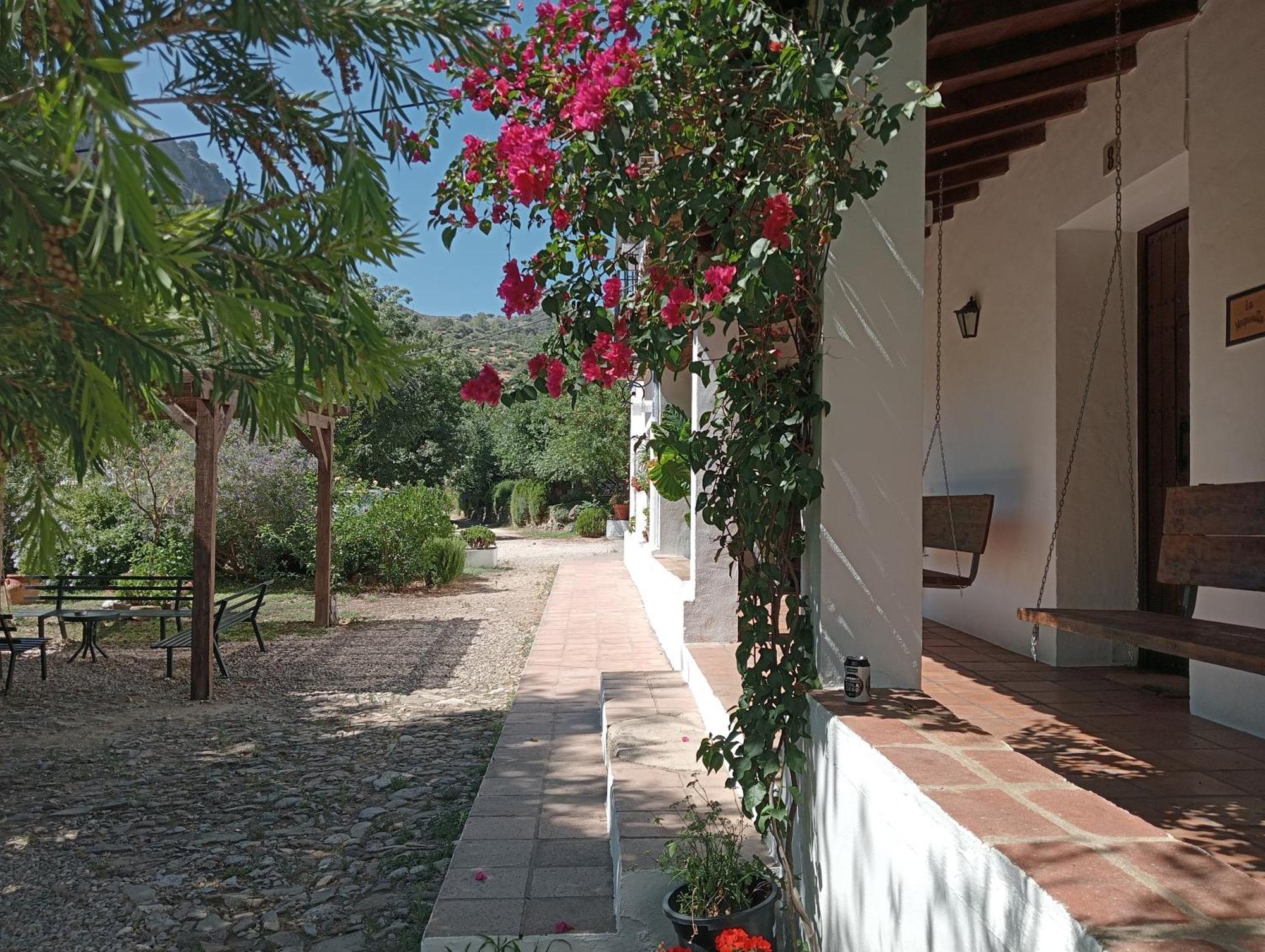 Casa Rural La Maquinilla Grazalema Bagian luar foto