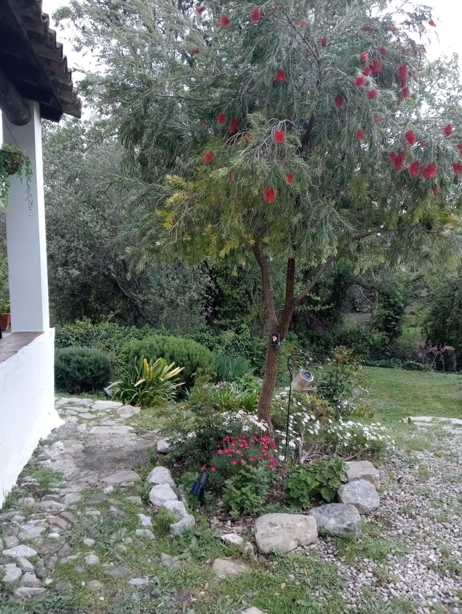 Casa Rural La Maquinilla Grazalema Bagian luar foto