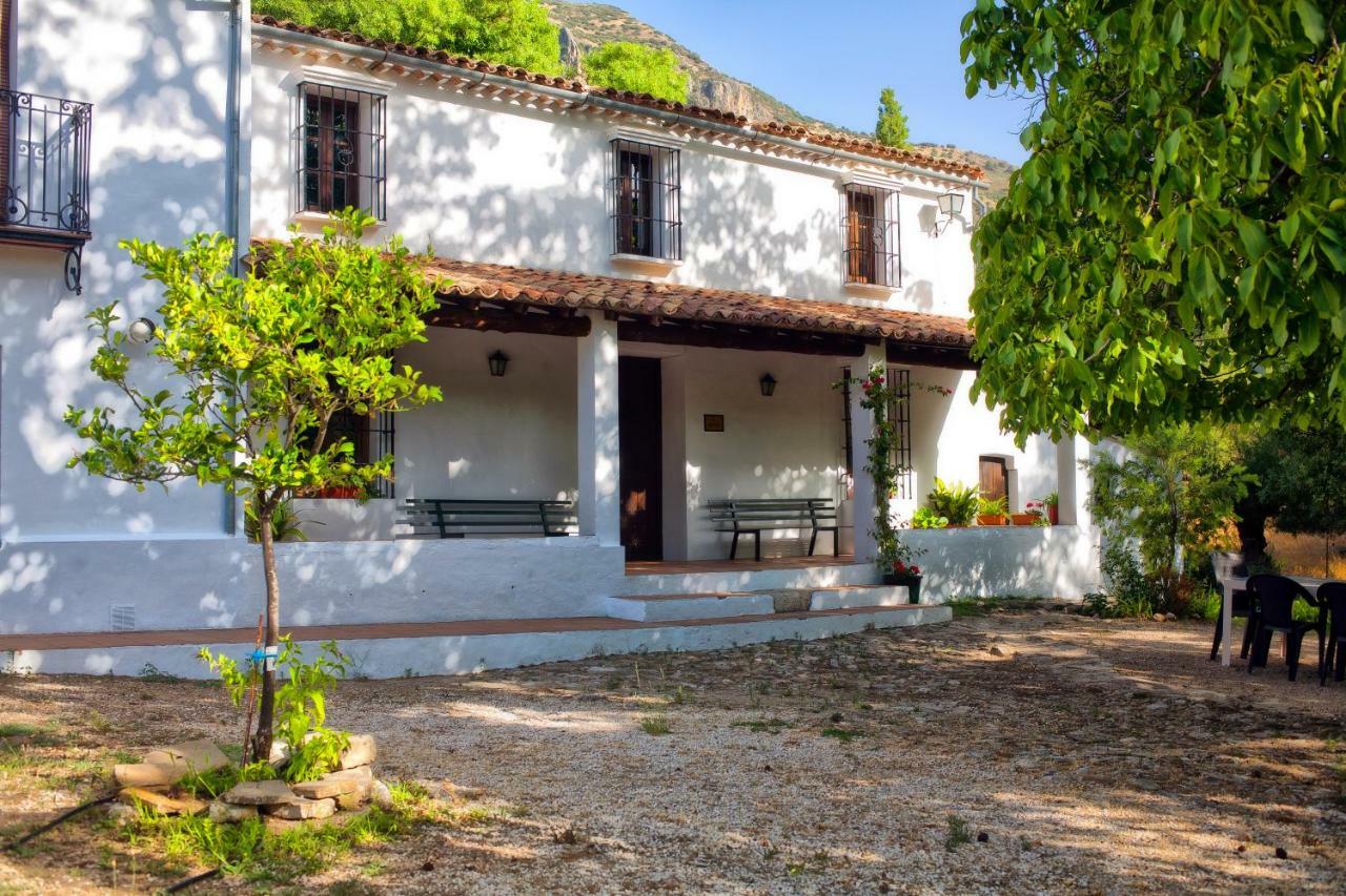Casa Rural La Maquinilla Grazalema Bagian luar foto