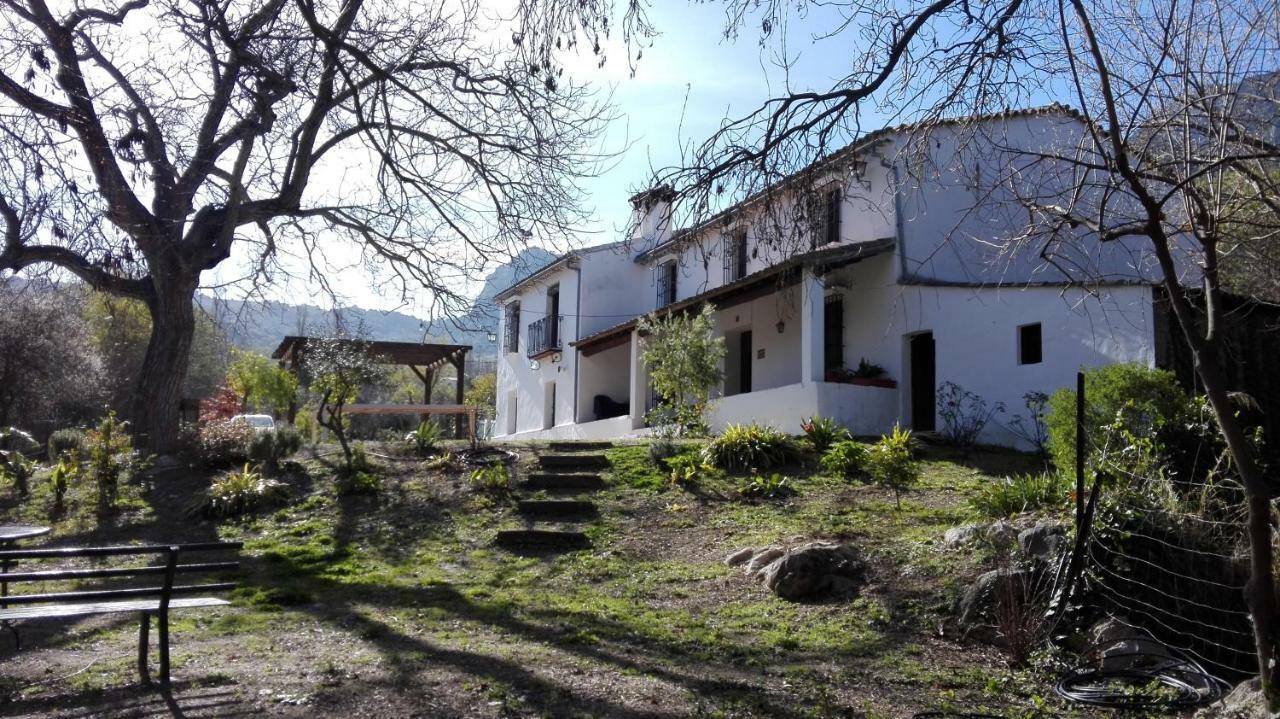 Casa Rural La Maquinilla Grazalema Bagian luar foto