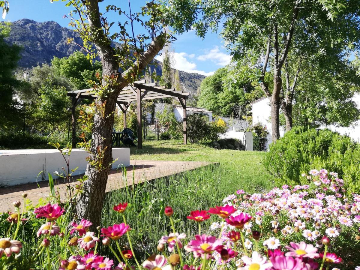 Casa Rural La Maquinilla Grazalema Bagian luar foto